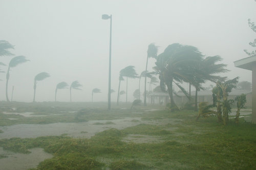 West Shore Hurricane Fabric Quick and easy installation